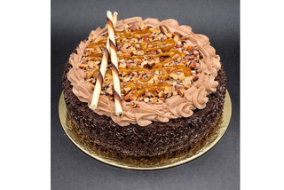 Turtle Cheesecake Product Image